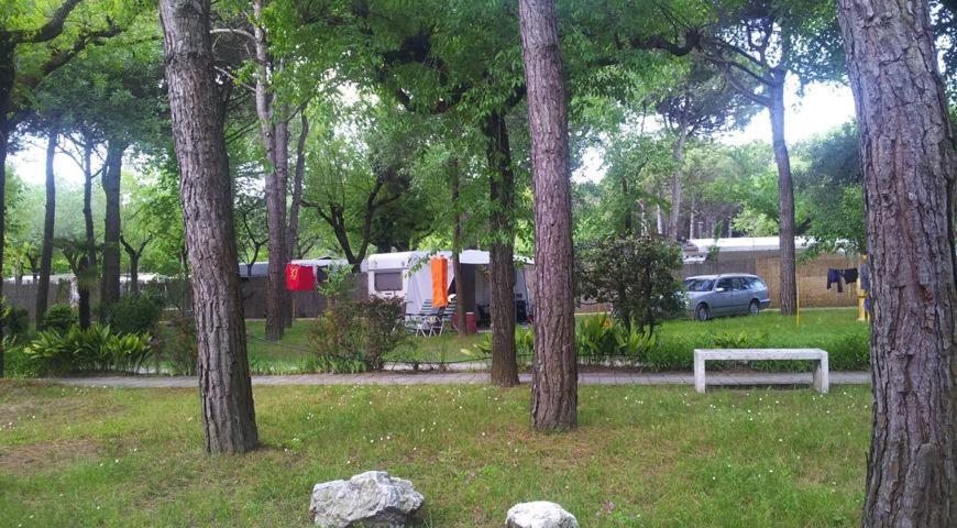 Campingplatz Center Valdor 3*