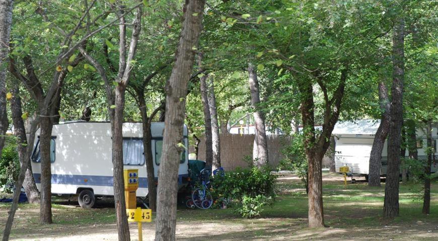 Campingplatz Center Valdor
